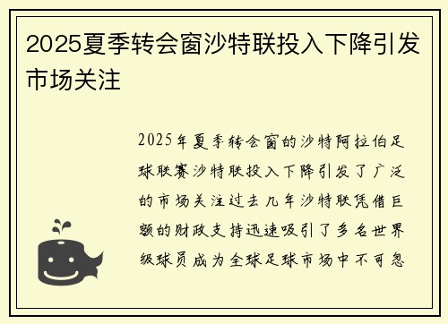 2025夏季转会窗沙特联投入下降引发市场关注 2025夏季转会窗沙特联投入下降引发市场关注